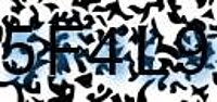 grafischer Sicherheitscode