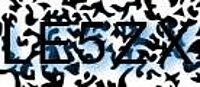 grafischer Sicherheitscode
