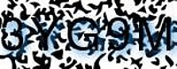 grafischer Sicherheitscode