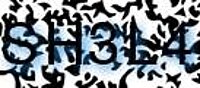 grafischer Sicherheitscode