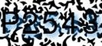 grafischer Sicherheitscode