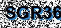grafischer Sicherheitscode